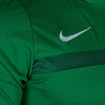 Футболки Nike Academy16 Training TOP (зеленая,725932-302)