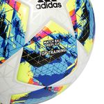 Мяч футбольный Adidas Finale 19 Top Training №5 (DY2551) 
